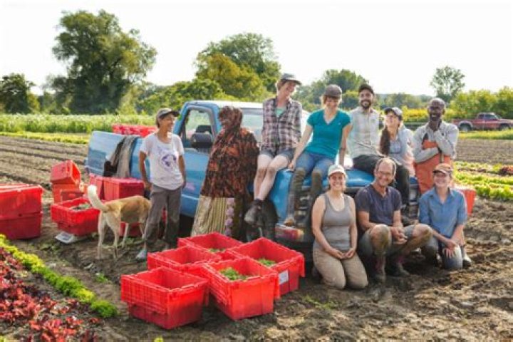 Can cooperatives be non-profit?