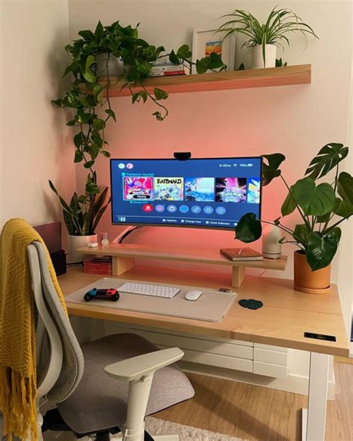 How do I set up a light shop?